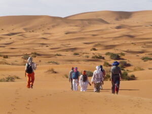 Stage au Sahara marocain # du 11 au 19 novembre 2016 @ Merzouga | Meknès-Tafilalet | Maroc